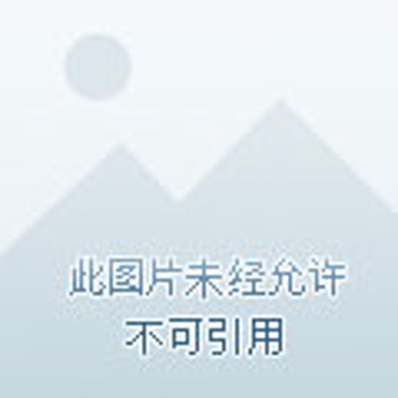 小米账号冻结现象:原因与应对策略